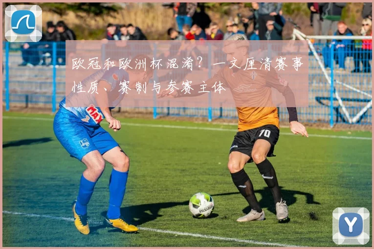 欧冠和欧洲杯混淆？一文厘清赛事性质、赛制与参赛主体