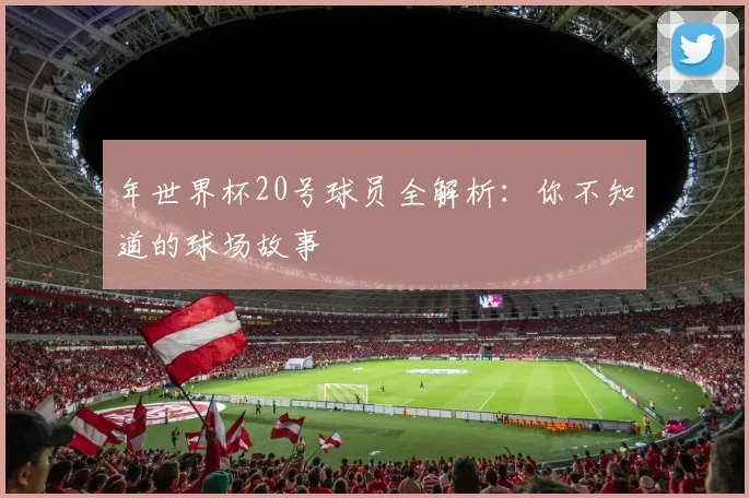 年世界杯20号球员全解析：你不知道的球场故事