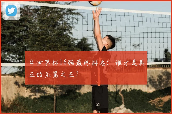 年世界杯16强最终排名：谁才是真正的无冕之王？